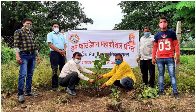 tree plantation